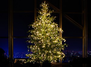 20151209_PHT3915