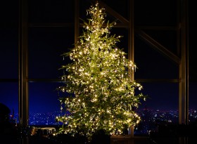 20151209_PHT3915